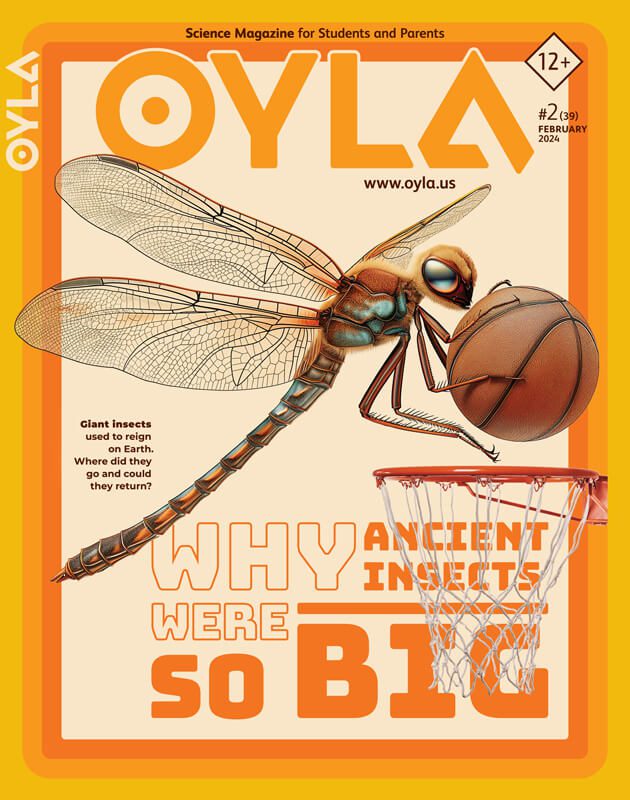 Magazine Oyla why ancient insects were so big.