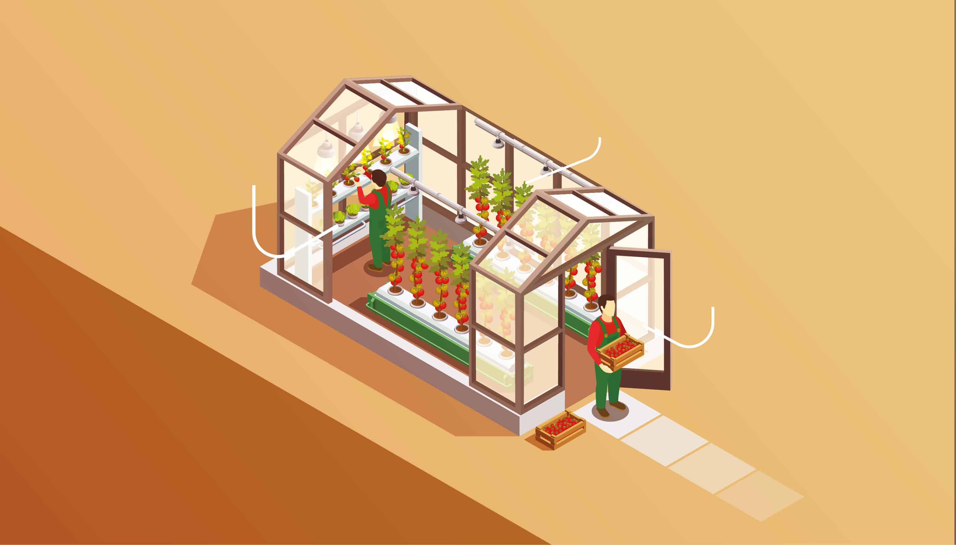 An isometric illustration of a hydroponic greenhouse.