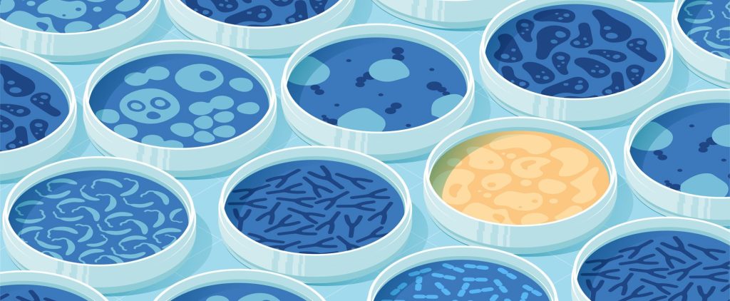 Petri Dish and It's Story