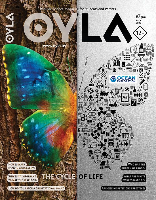 The cover of oyla magazine with an image of a butterfly.
