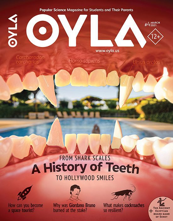 Oyla - a history of teeth.