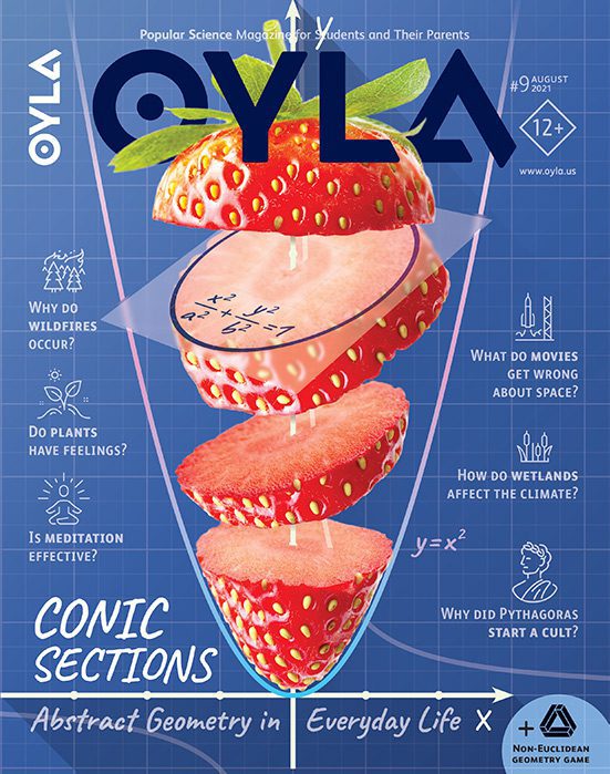 The cover of oyla comic sections.