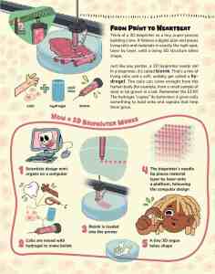 Opening page of “3D Bioprinting: From Cells to Organs” in OYLA Junior #11