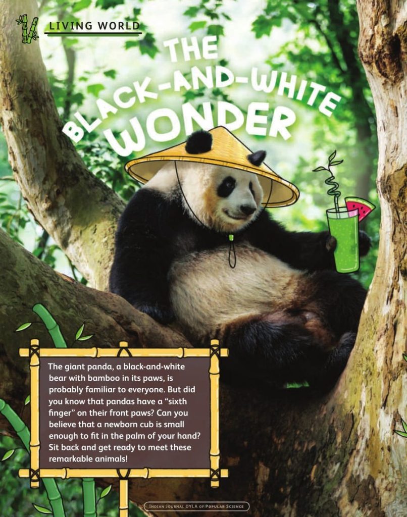 Opening page of “Bamboozled” in OYLA 12+, Vol. 12, Issue 10 (October 2026)
