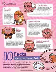 Opening page of “10 Facts about the Human Brain” in OYLA 12+, Vol. 8, Issue 8